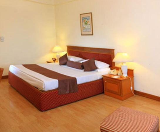 ניו דלהי Hotel Hridey Inn חדר תמונה